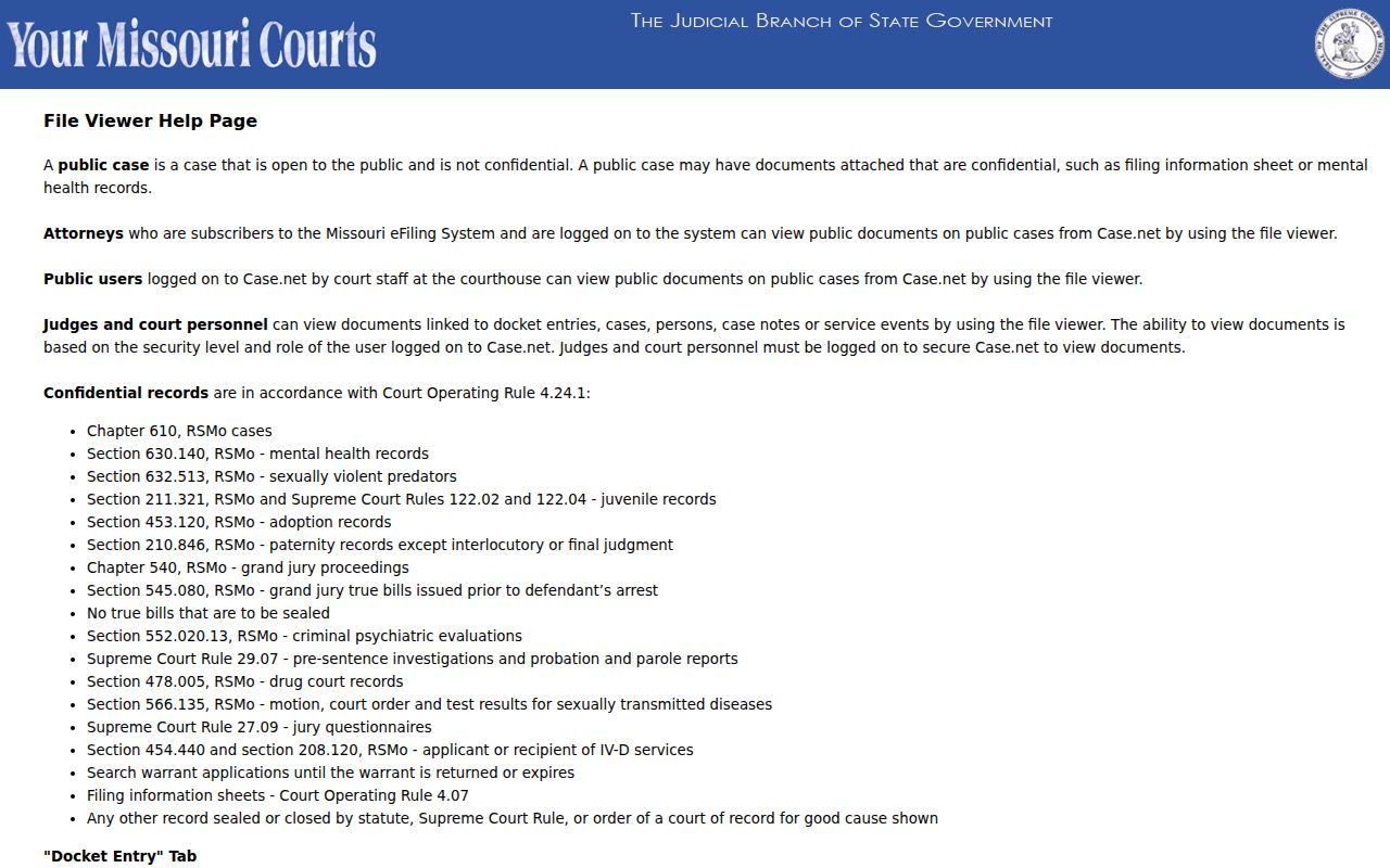 Douglas County court records File Viewer docket entry example